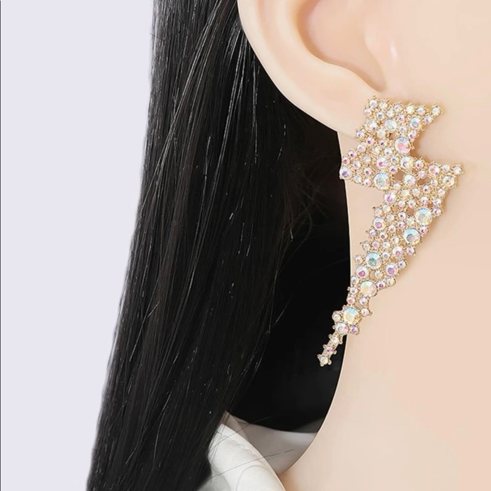 EARRINGS NWOT - Picture 3 of 6